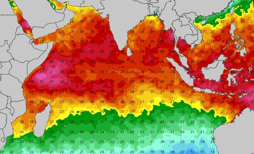 Sst océan indien