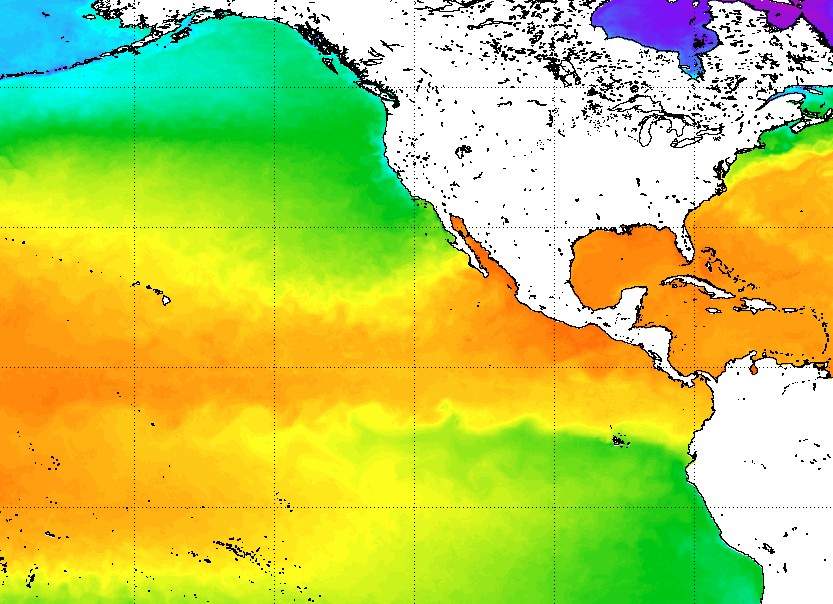 Sst océan pacifique el nino ©NOAA