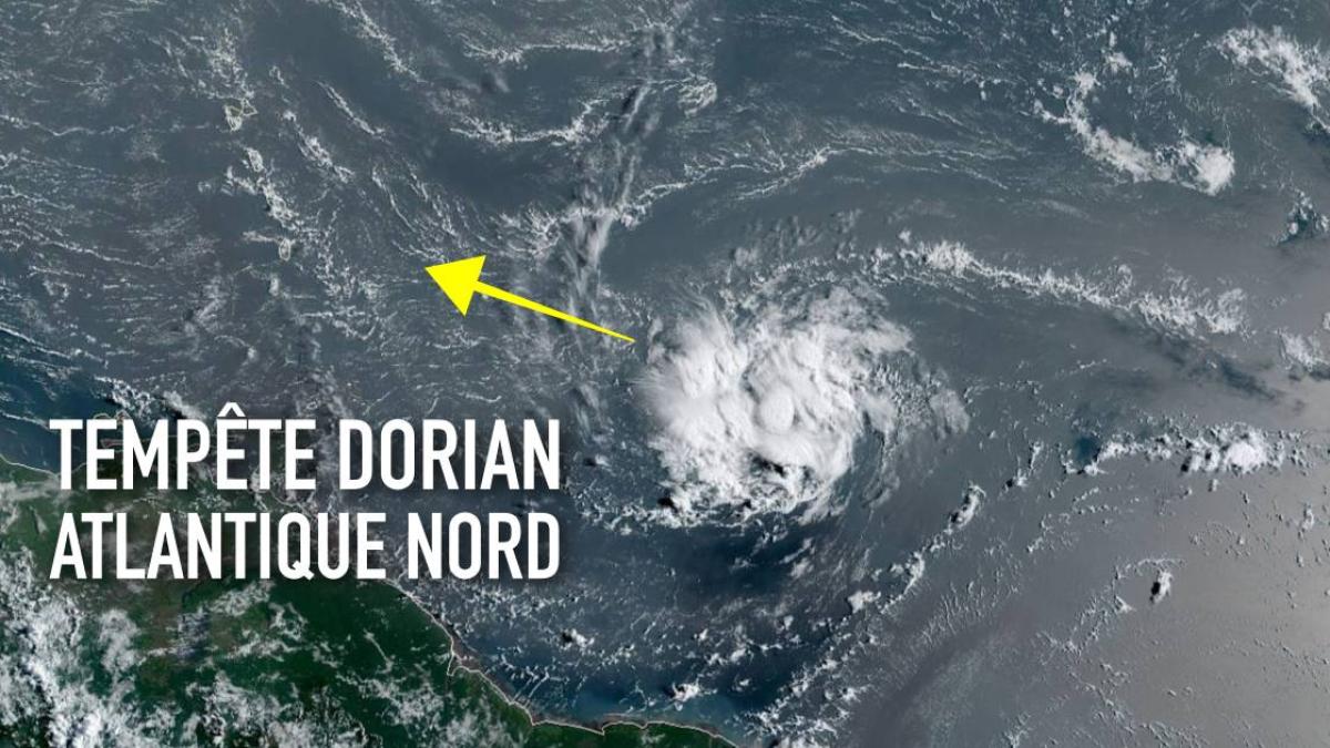 La tempête tropicale DORIAN en direction des petites Antilles