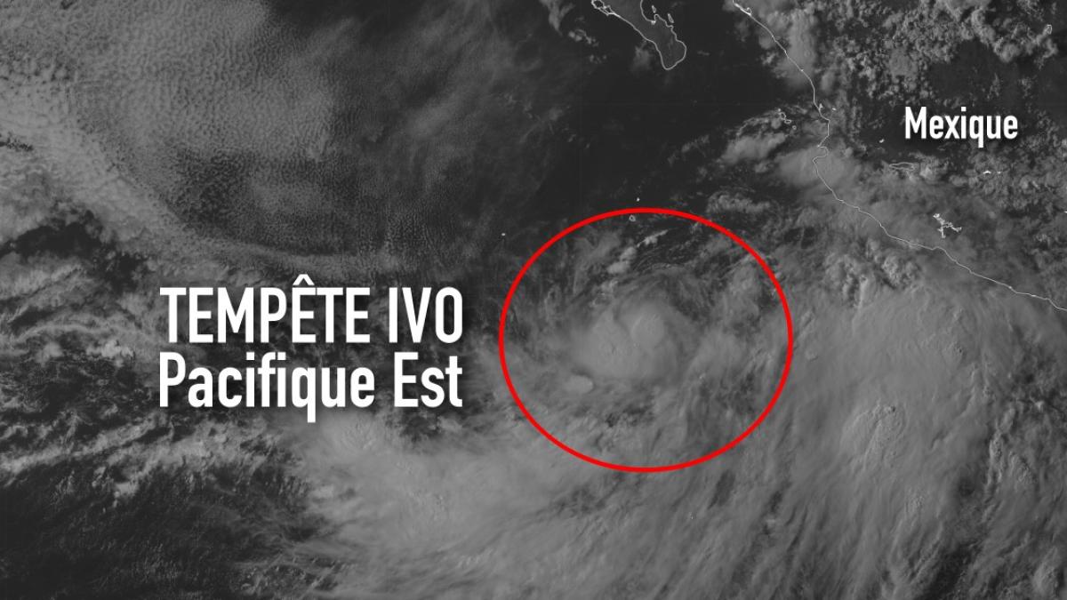 IVO, 9e tempête baptisée de la saison des ouragans 2019 du Pacifique Est
