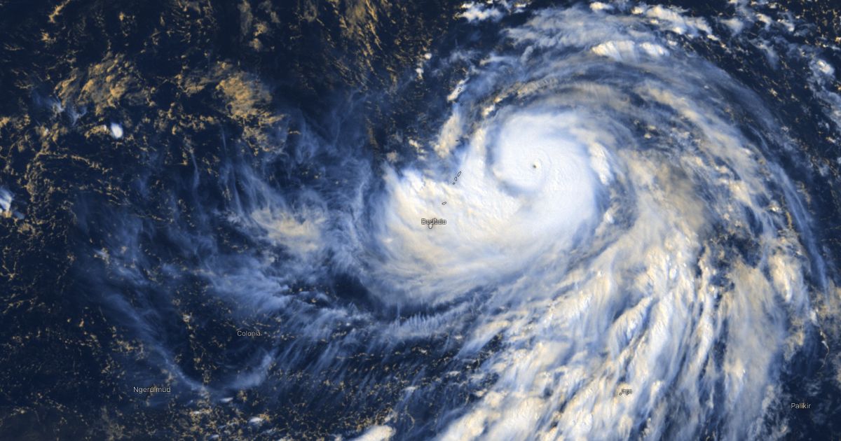 Typhoon hagibis