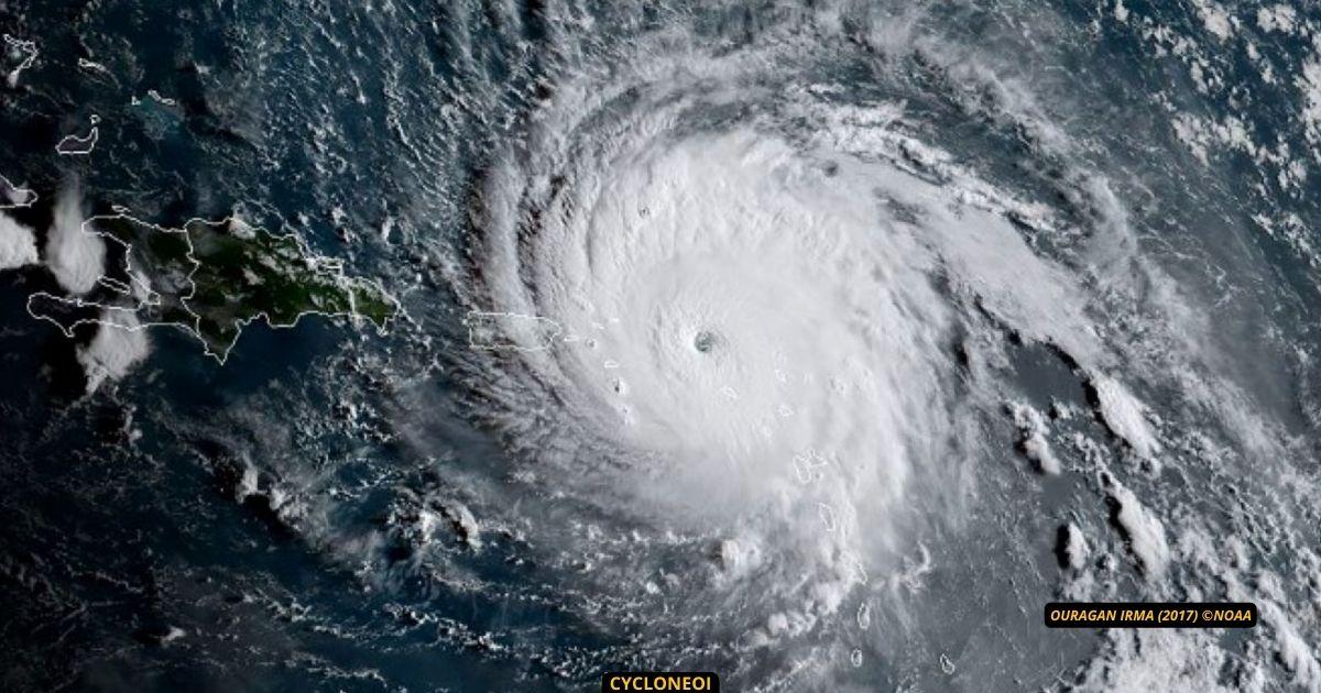 Une e tude re ve le comment irma a broye l e conomie de saint martin