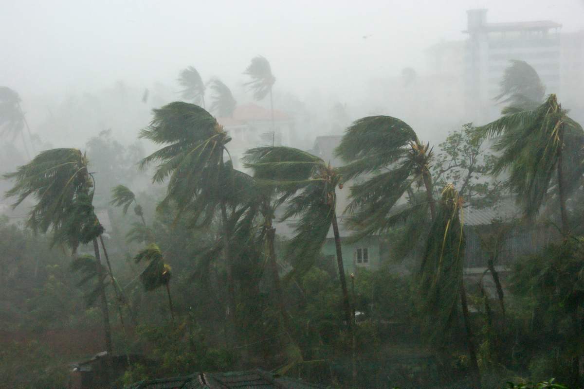 Vivre un cyclone temoignage recit histoire