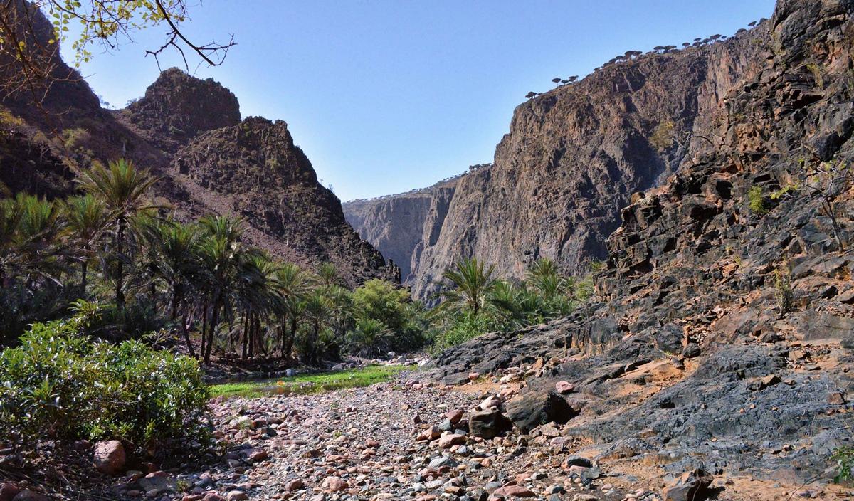 Falaise escarpée de Socotra